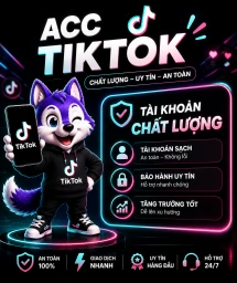 Clone Tiktok France Reg Mail TM